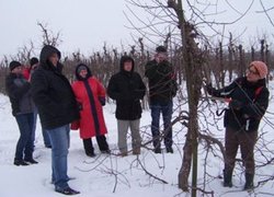 Обрізку демонструє Александра Ліпніцька